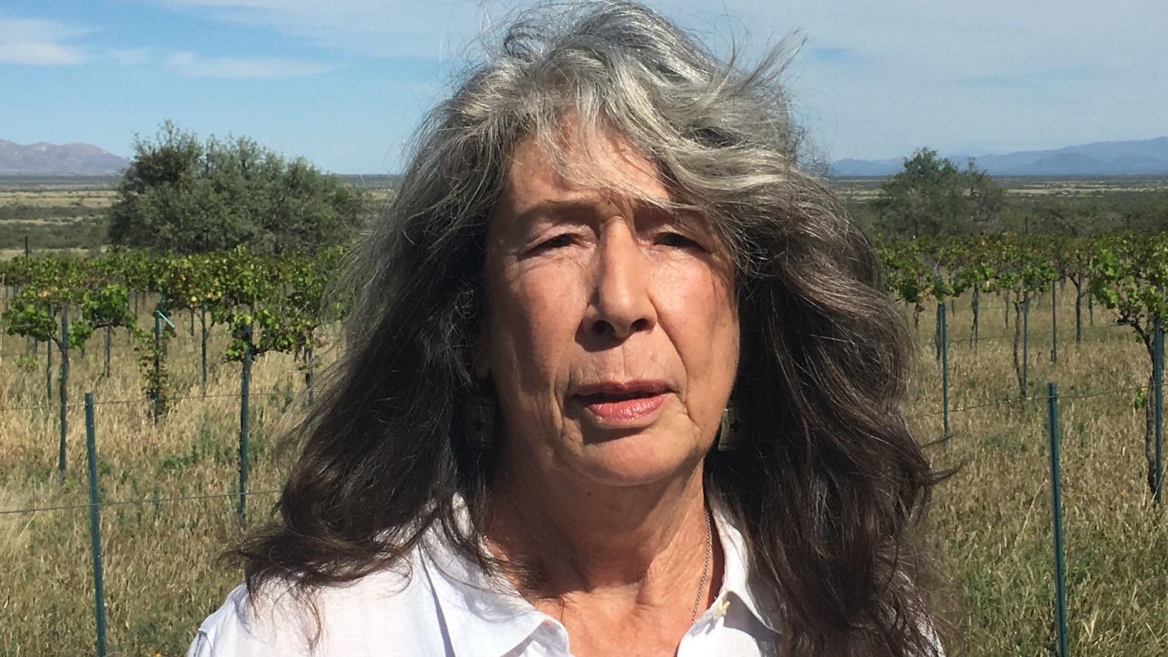 Steller column: To some Arizona border residents troop deployment seems ridiculous